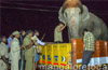 Female elephant of Krishna Mutt sent to Sakrebail camp for treatment